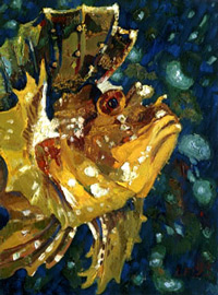 Ljudmila Feierabend - Goldener Fisch