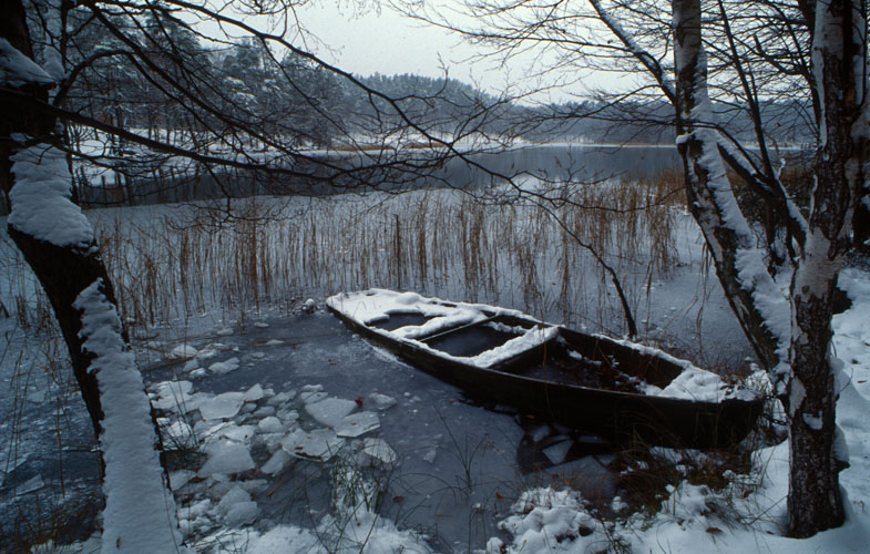 Boot im Eisfach