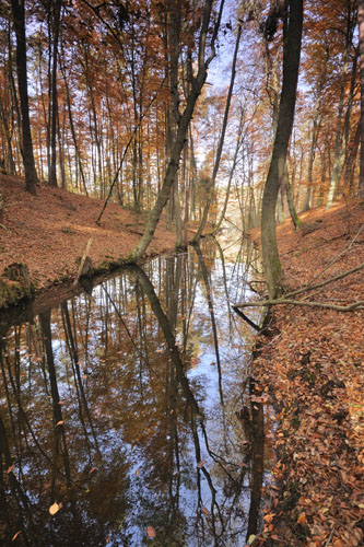 Herbst am Kanal