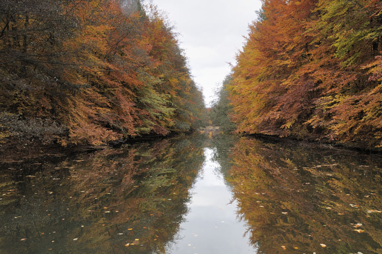 Herbstfarben Kanal