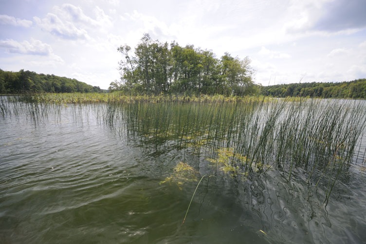 Nehmitzsee 2. Insel