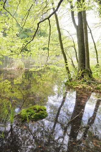 Nehmitzsee Flachwasser
