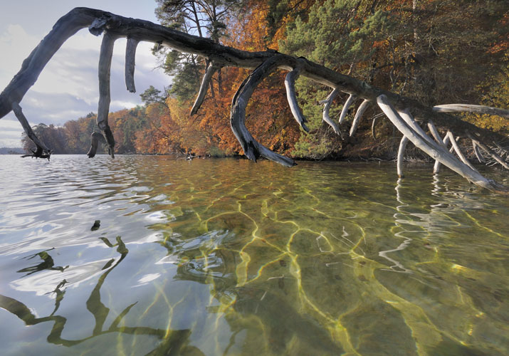 Wasserspiel im Herbst
