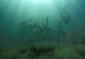 Unterwasserwelten